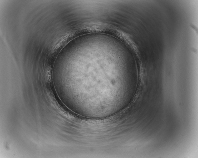 X0000101160017200807071209