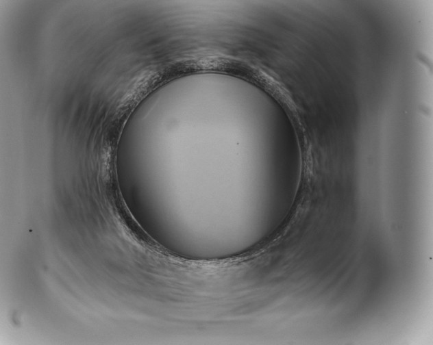 X0000101160018200807071209