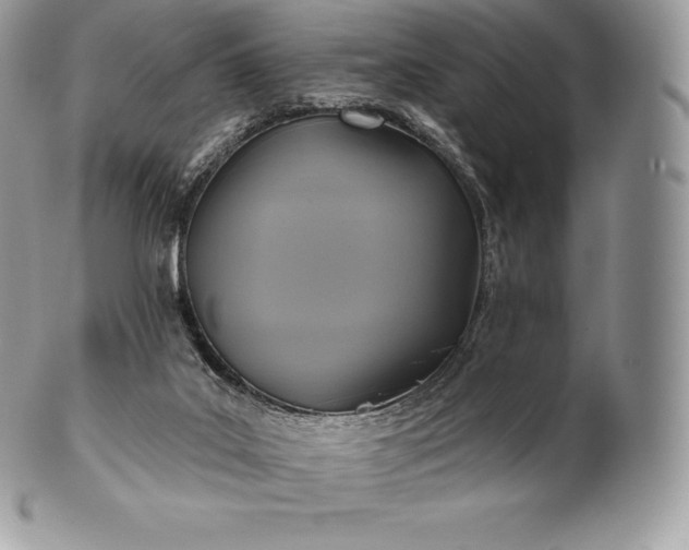 X0000101160019200807071209