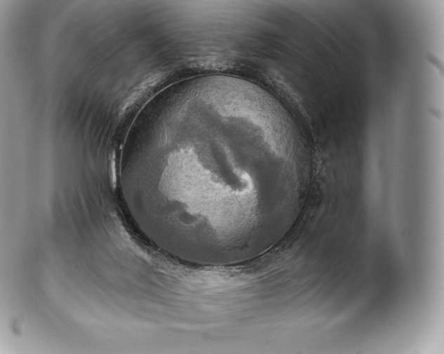 X0000101160020200807071209