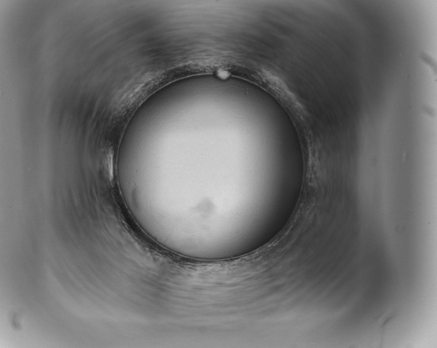 X0000101160021200807071209