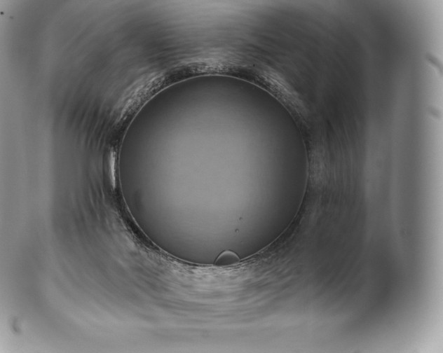 X0000101160022200807071209