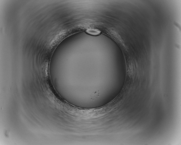 X0000101160023200807071209