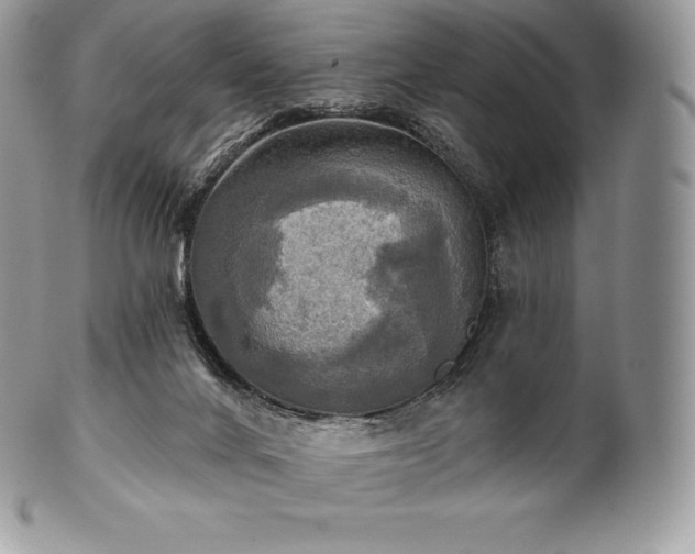 X0000101160024200807071209