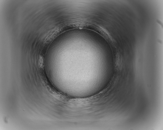 X0000101160025200807071209