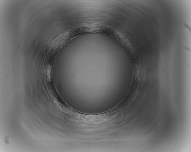 X0000101160026200807071209