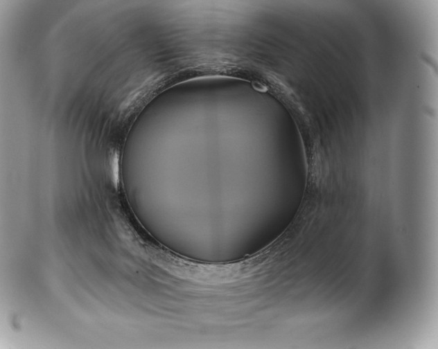 X0000101160027200807071209