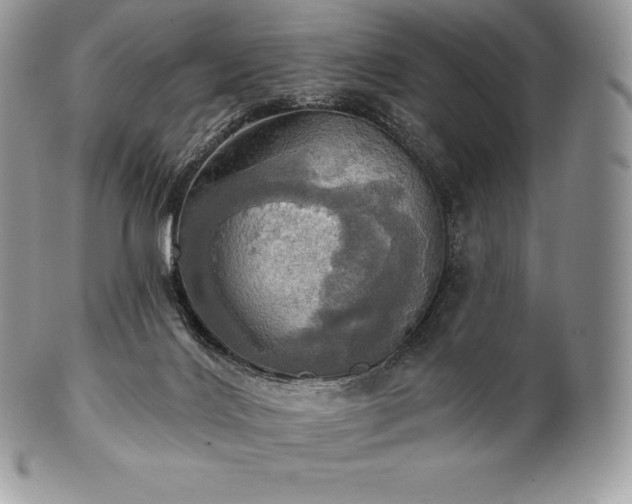 X0000101160028200807071209