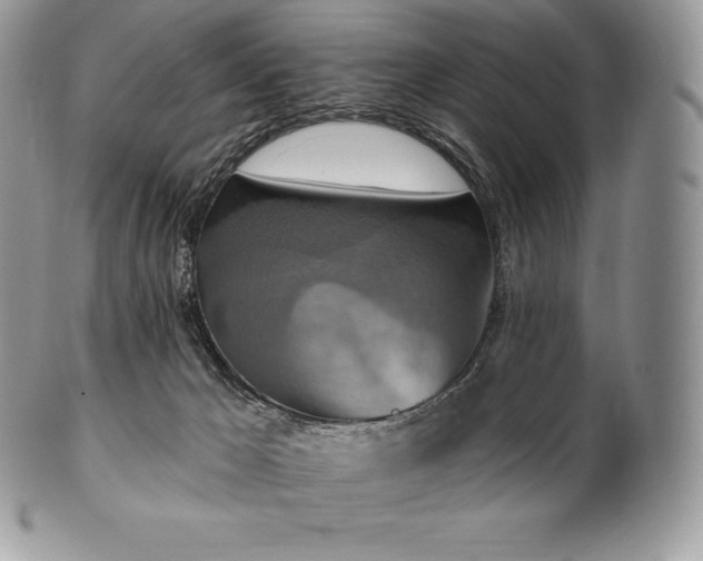 X0000101160029200807071209