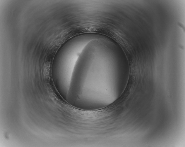 X0000101160030200807071209