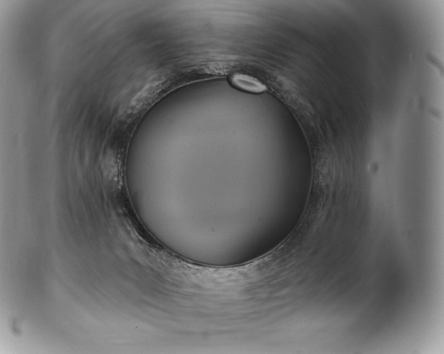 X0000101160031200807071209