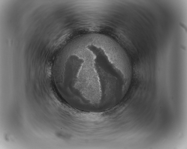 X0000101160032200807071209