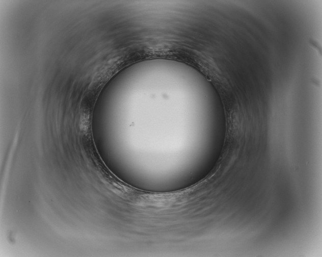 X0000101160033200807071209