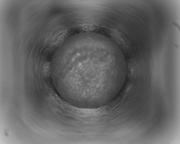 X0000101160034200807071209