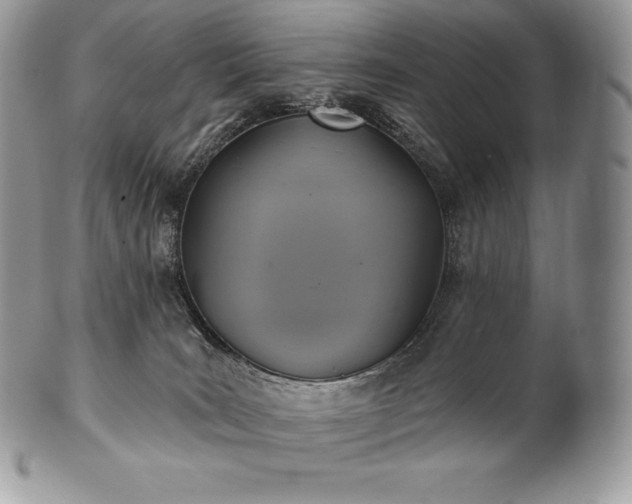 X0000101160035200807071209