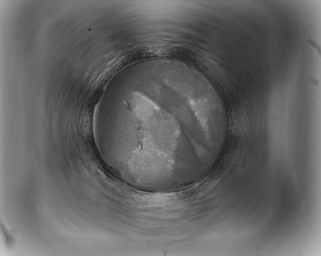 X0000101160036200807071209