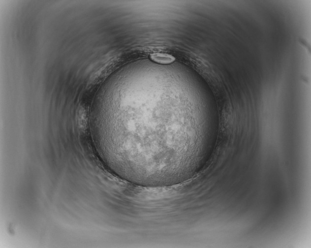 X0000101160037200807071209