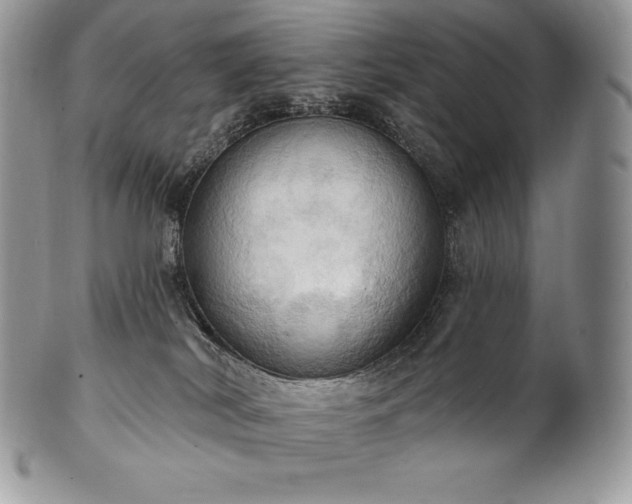 X0000101160038200807071209