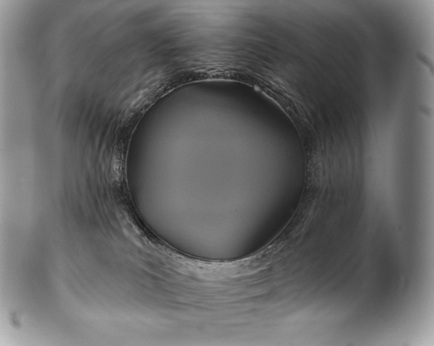 X0000101160039200807071209