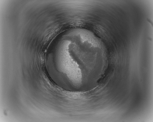 X0000101160040200807071209