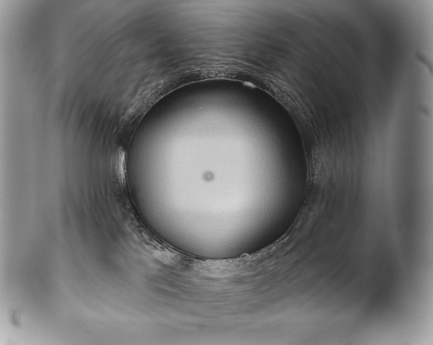 X0000101160041200807071209