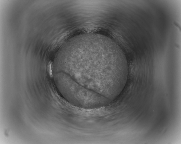 X0000101160042200807071209