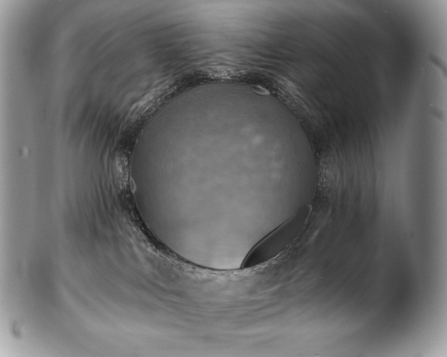 X0000101160043200807071209