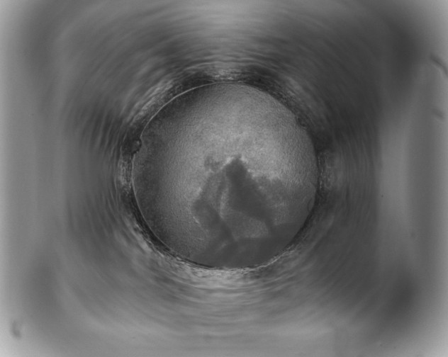 X0000101160044200807071209