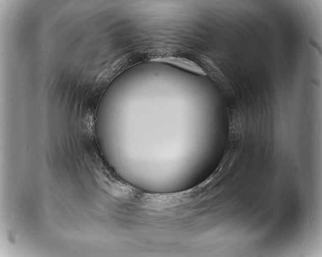 X0000101160045200807071209