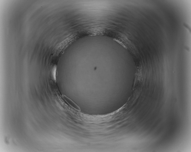 X0000101160047200807071209