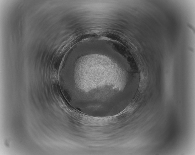 X0000101160048200807071209