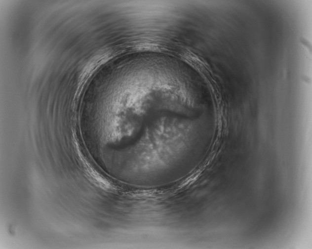 X0000101160049200807071208