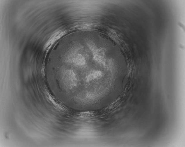 X0000101160050200807071208