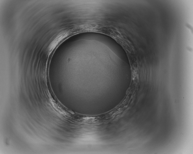 X0000101160052200807071208