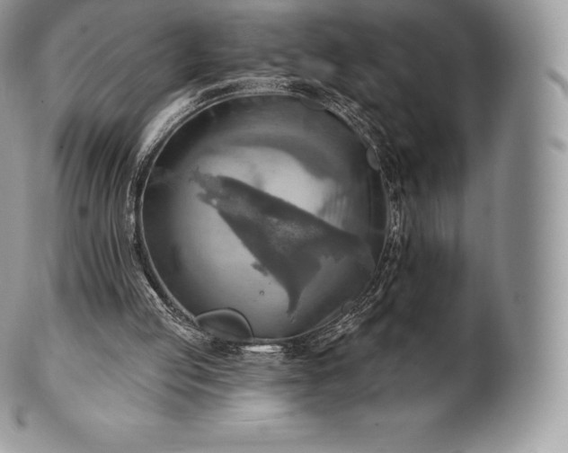 X0000101160053200807071208