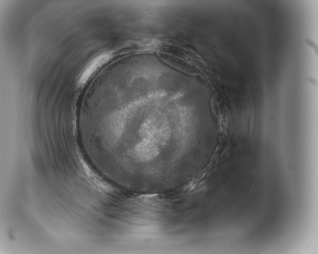 X0000101160054200807071208