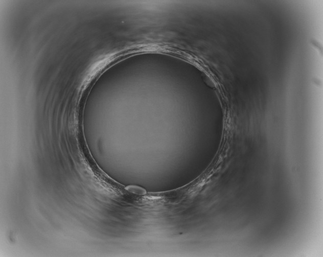 X0000101160055200807071208