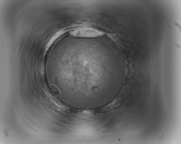 X0000101160056200807071208