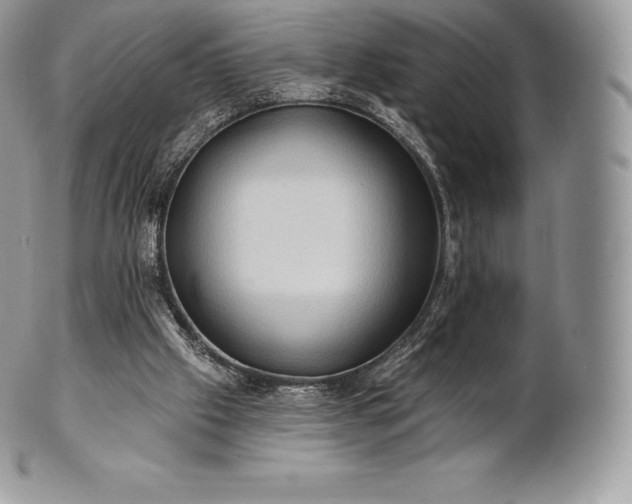 X0000101160057200807071208