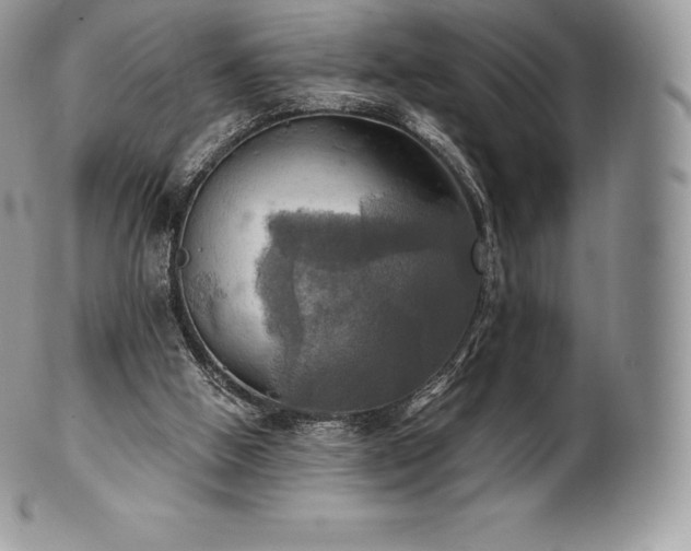 X0000101160058200807071208