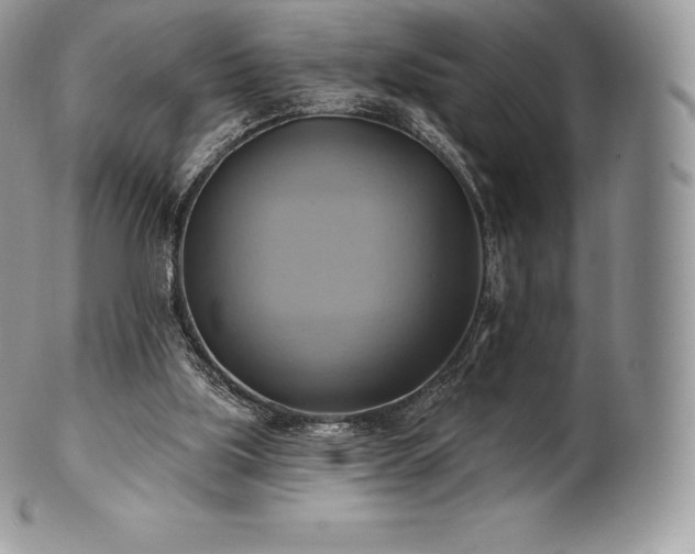 X0000101160059200807071208