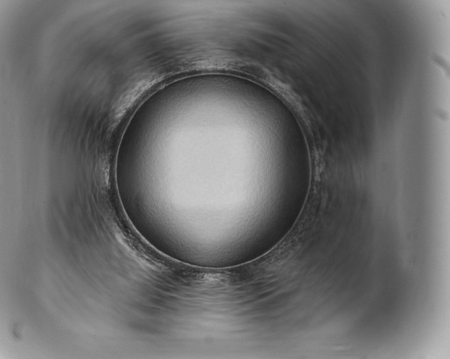 X0000101160060200807071208