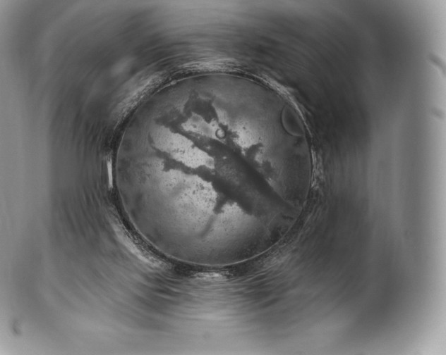 X0000101160061200807071208