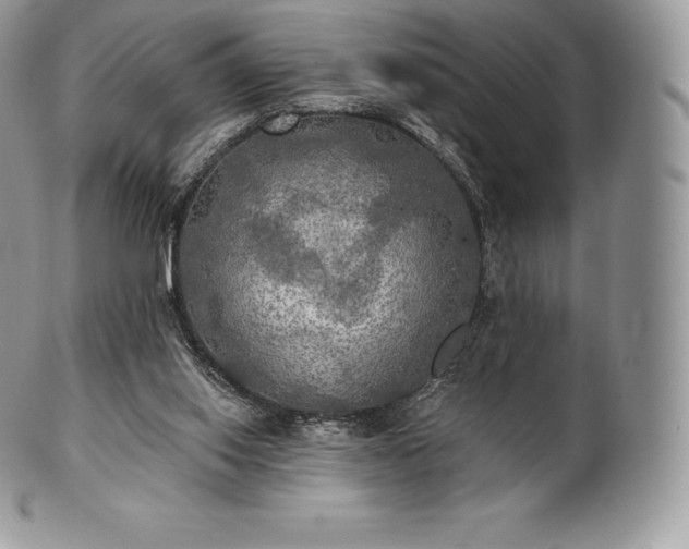 X0000101160062200807071208