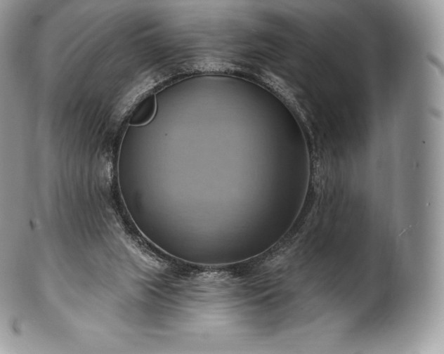 X0000101160063200807071208