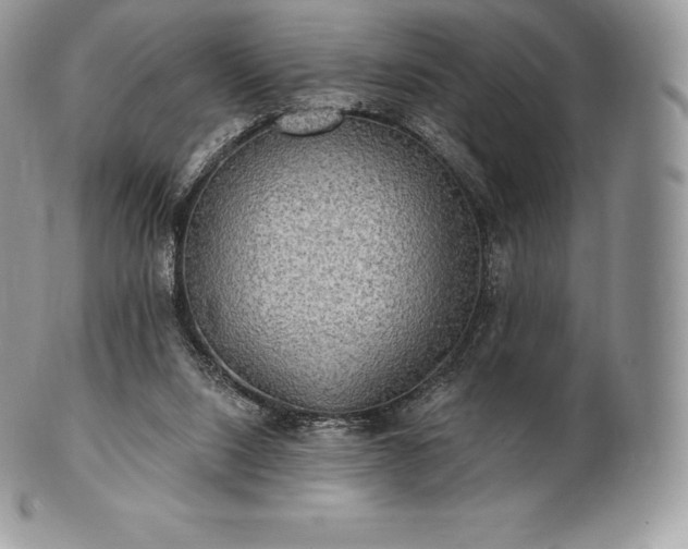 X0000101160064200807071208