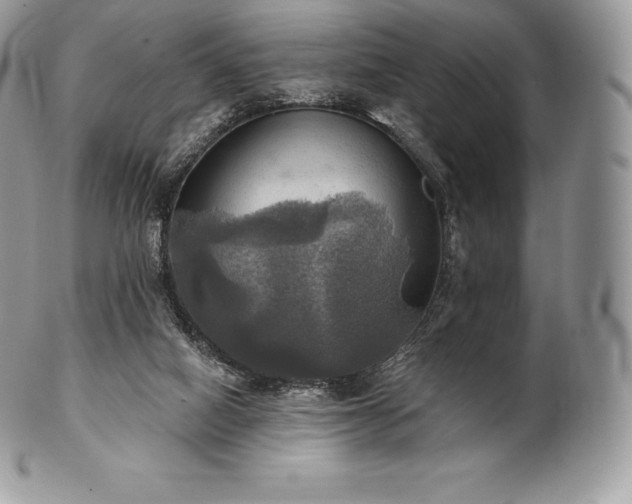 X0000101160066200807071208