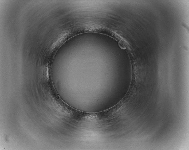 X0000101160067200807071208