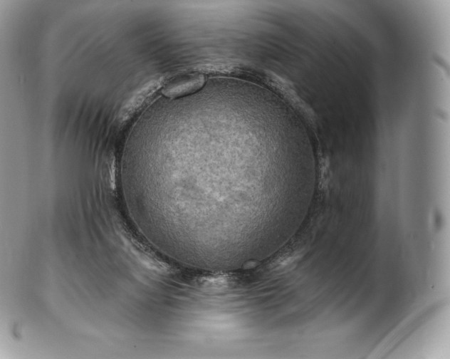 X0000101160068200807071208