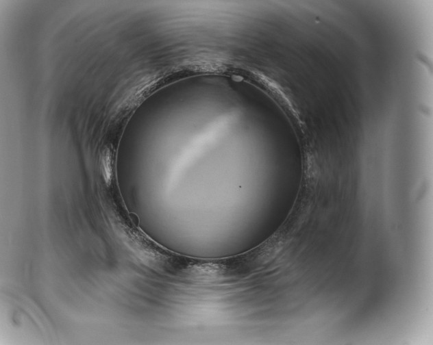 X0000101160069200807071208